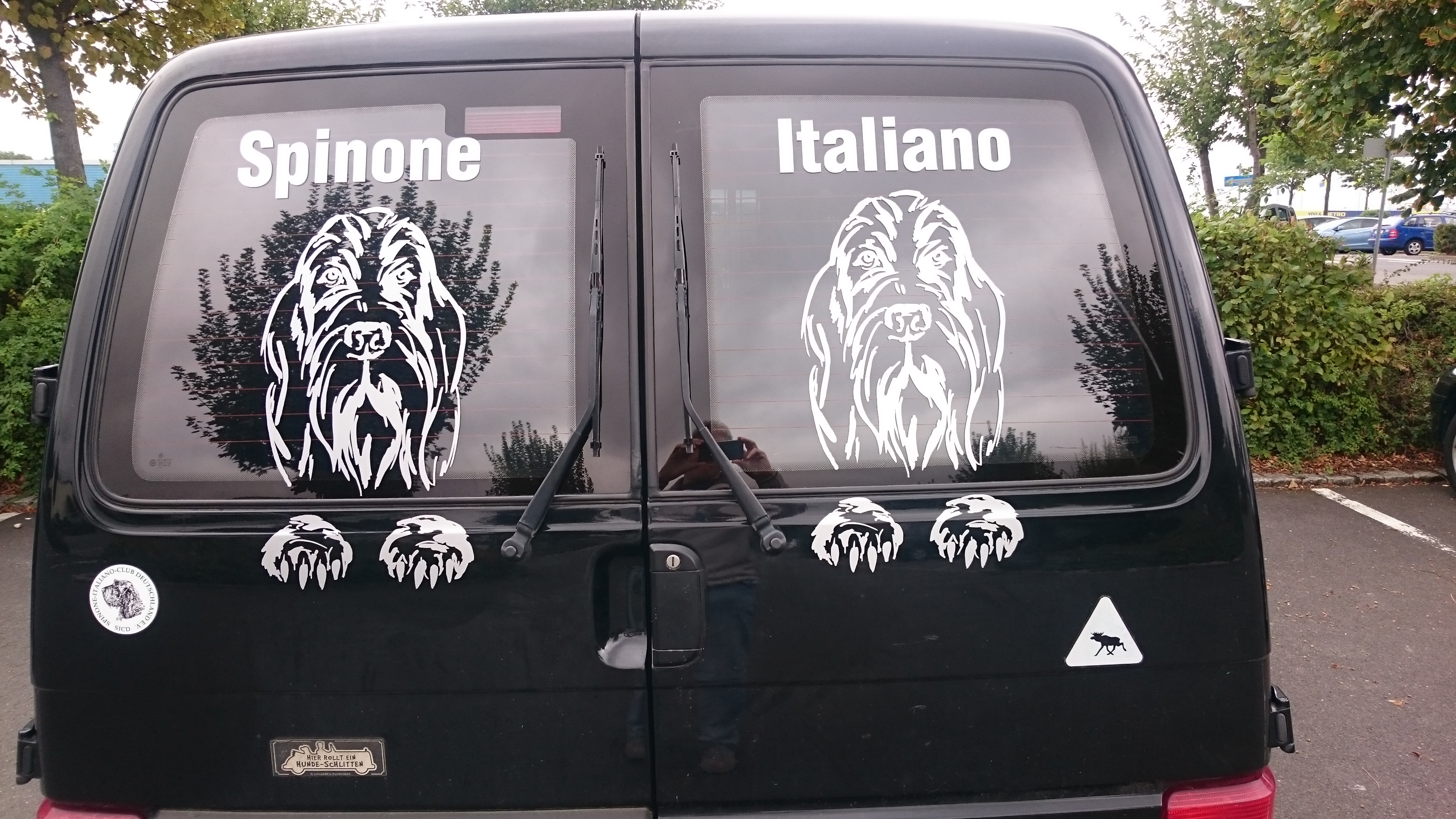 "Spinone Italiano Transportmobil"